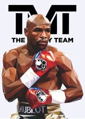 floyd money mayweather jr