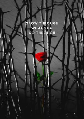 Grow Through