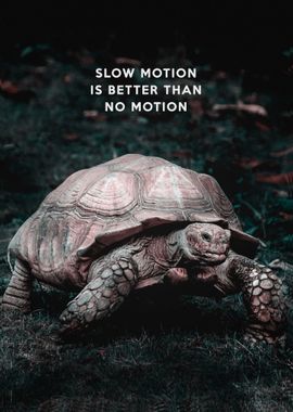 Slow Motion