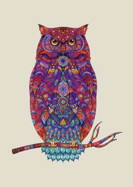 Owl