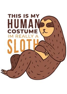 Funny Sloth Lazy Animals