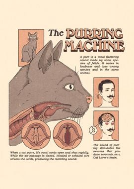 The Purring Machine