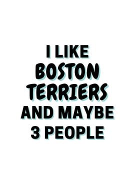 I Like Boston Terriers And