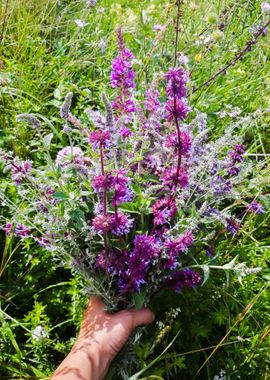 WIldflower offering