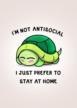 Antisocial Turtle