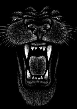 Lion Black and White