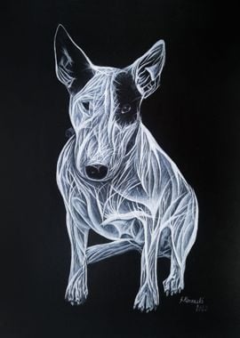 Fractal Bullterrier 6