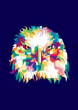 Eagle Illustrations