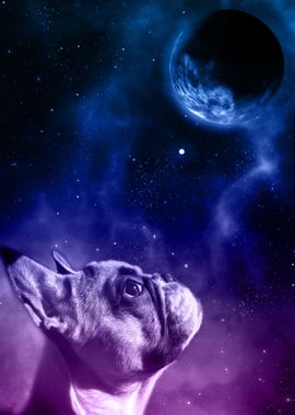 French Bulldog Dog Planet