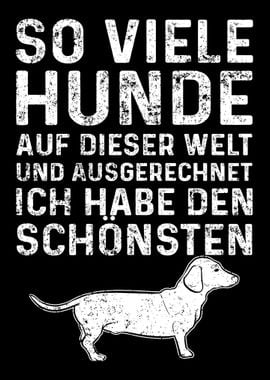 So Viele Hunde Dackel Dach