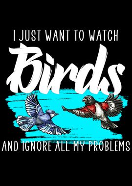 Birdwatching problems