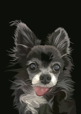 Japanese Spaniel