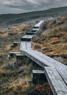 Mountain Stairs