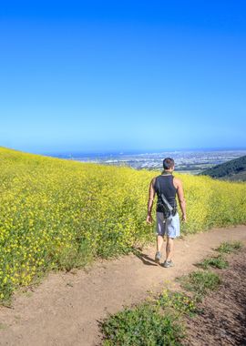 Man on a journey