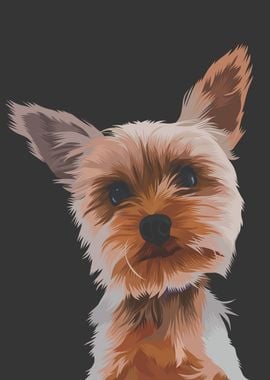 Yorkshire Terrier Dog