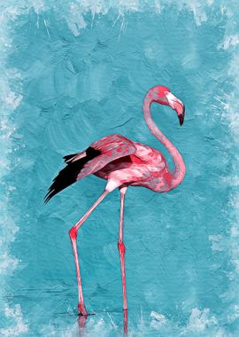 Flamingo