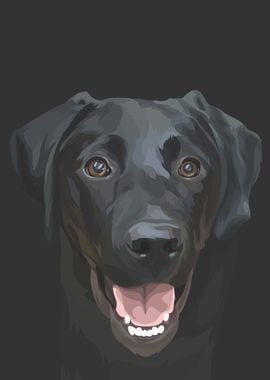 Pointer Black Dog