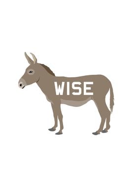 Wise Donkey