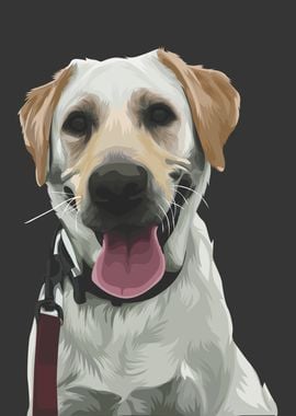 Labrador Retriever Dog