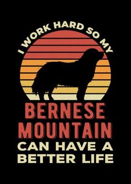 Funny Bernese Mountain