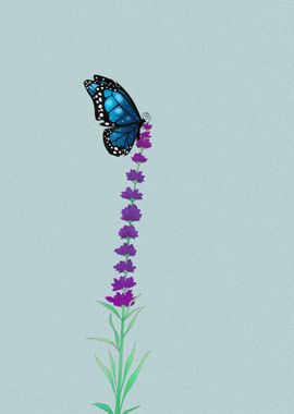 the butterfly and Lavender