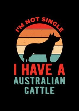 Funny Australian Cattle