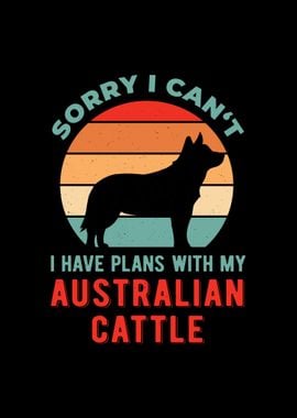 Funny Australian Cattle