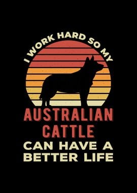 Funny Australian Cattle