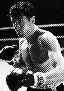 raging bull