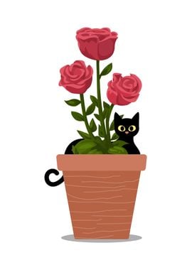 Roses and the Cat