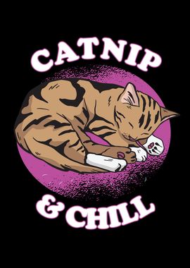 Catnip  Chill Sleep Cat