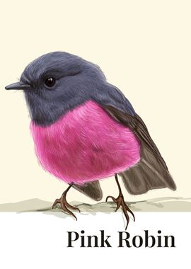 Pink Robin Bird