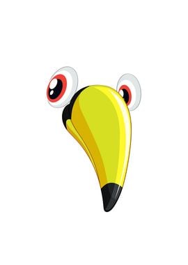 Toucan