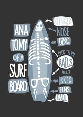 Anatomy of a Surfboard