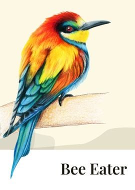 Bee Eater Bird