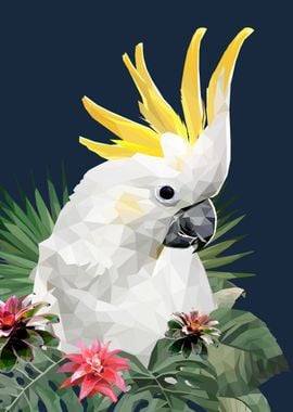 Cockatoo bird