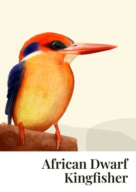 African Dwarf Kingfisher