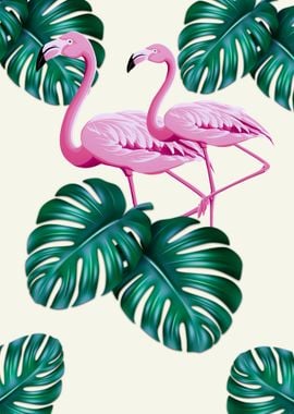 Monstera Flamingo