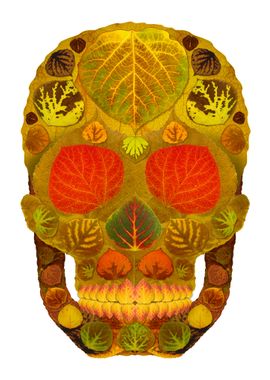 Aspen Leaf Skull 12