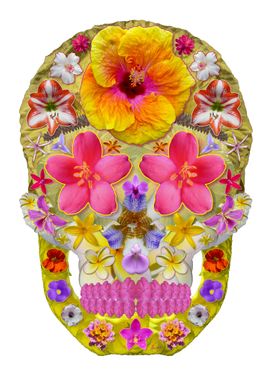 Flower Skull 4  Tropical