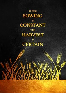 Sowing and Reaping