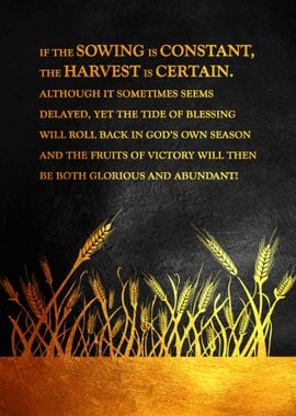 Sowing and Reaping