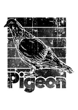 Pigeon gift