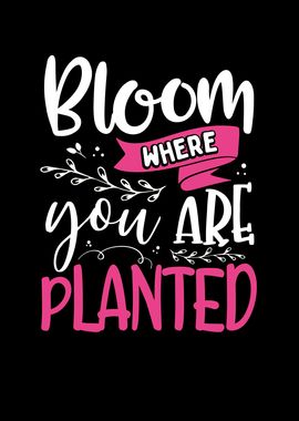 Bloom where you are