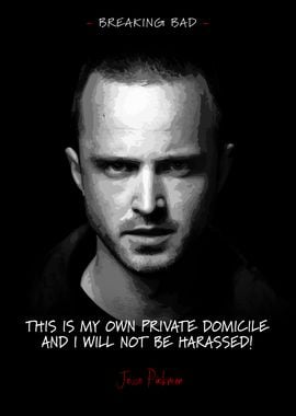 Jesse Pinkman