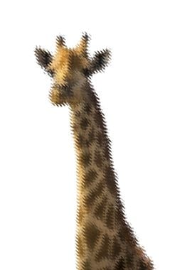 Giraffe Ripple