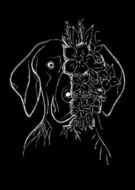 German Shorthair Pointer 