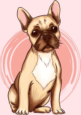 FRENCH BULLDOG