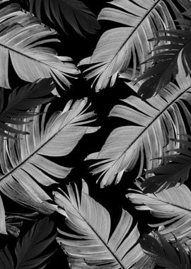 Tropical Banana Leaves 4