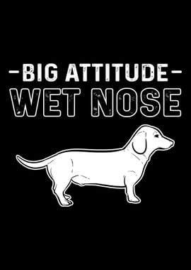 Big Attitute Wet Nose Dach